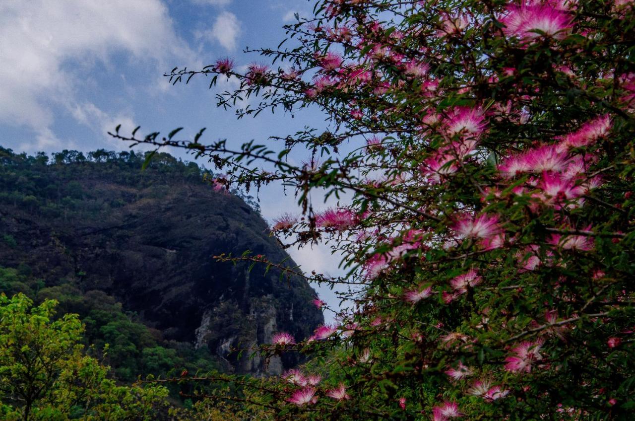 Hotel Fazenda Pedra Grande Visconde De Maua Luaran gambar